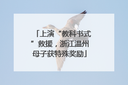 上演“教科书式”救援，浙江温州母子获特殊奖励