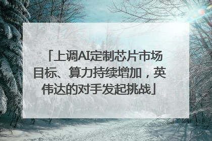 上调AI定制芯片市场目标、算力持续增加，英伟达的对手发起挑战
