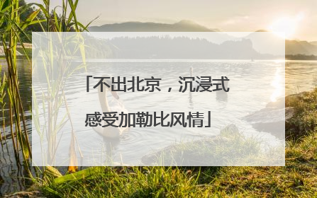 不出北京，沉浸式感受加勒比风情