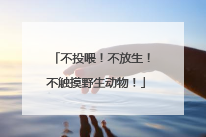 不投喂！不放生！不触摸野生动物！