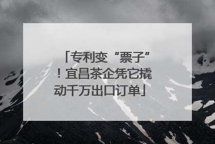 专利变“票子”！宜昌茶企凭它撬动千万出口订单