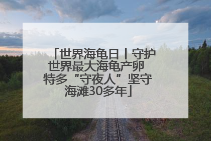 世界海龟日丨守护世界最大海龟产卵 特多“守夜人”坚守海滩30多年