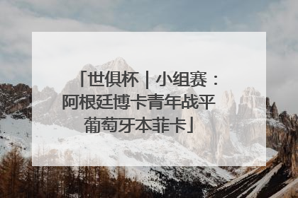 世俱杯｜小组赛：阿根廷博卡青年战平葡萄牙本菲卡