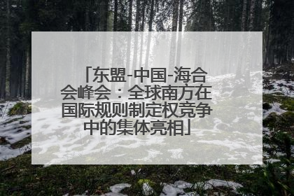 东盟-中国-海合会峰会：全球南方在国际规则制定权竞争中的集体亮相