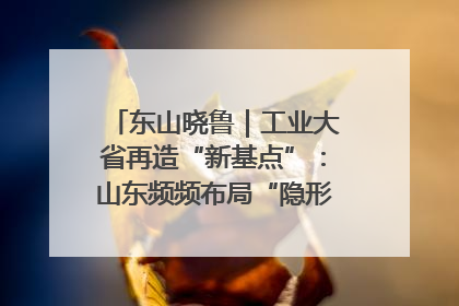 东山晓鲁｜工业大省再造“新基点”：山东频频布局“隐形冠军”背后