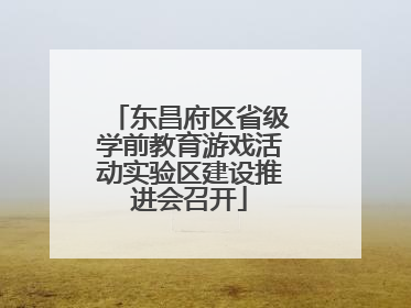 东昌府区省级学前教育游戏活动实验区建设推进会召开