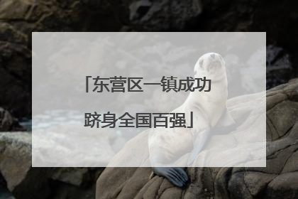 东营区一镇成功跻身全国百强