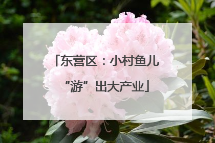 东营区：小村鱼儿“游”出大产业