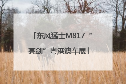 东风猛士M817“亮剑”粤港澳车展