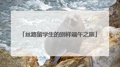 丝路留学生的别样端午之旅