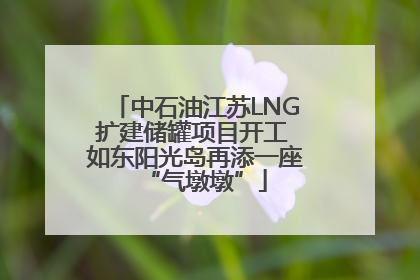 中石油江苏LNG扩建储罐项目开工 如东阳光岛再添一座“气墩墩”