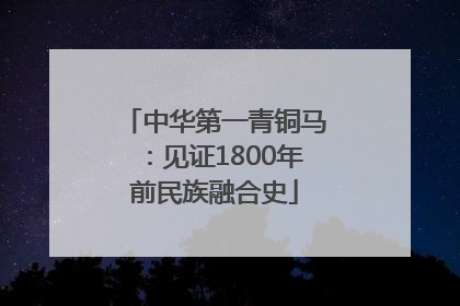 中华第一青铜马：见证1800年前民族融合史