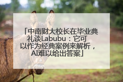 中南财大校长在毕业典礼谈Labubu：它可以作为经典案例来解析，AI难以给出答案