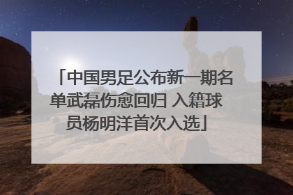 中国男足公布新一期名单武磊伤愈回归 入籍球员杨明洋首次入选