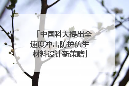 中国科大提出全速度冲击防护仿生材料设计新策略