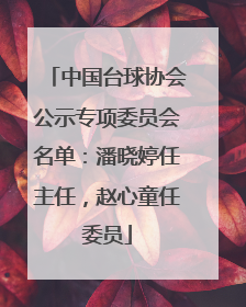 中国台球协会公示专项委员会名单：潘晓婷任主任，赵心童任委员