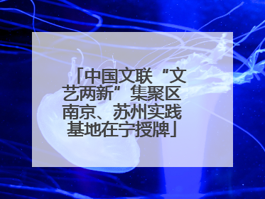 中国文联“文艺两新”集聚区南京、苏州实践基地在宁授牌
