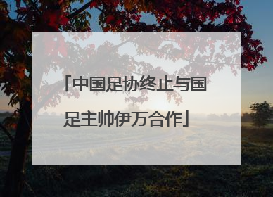 中国足协终止与国足主帅伊万合作