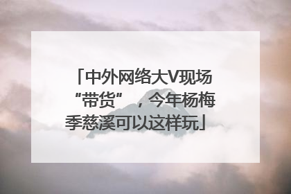 中外网络大V现场“带货”，今年杨梅季慈溪可以这样玩