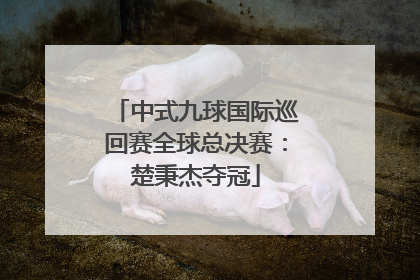 中式九球国际巡回赛全球总决赛：楚秉杰夺冠