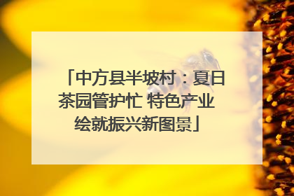 中方县半坡村：夏日茶园管护忙 特色产业绘就振兴新图景