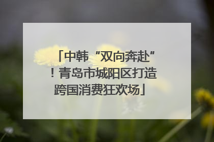中韩“双向奔赴”！青岛市城阳区打造跨国消费狂欢场