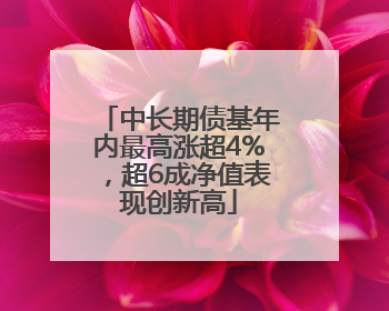 中长期债基年内最高涨超4%，超6成净值表现创新高