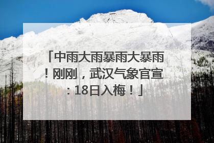 中雨大雨暴雨大暴雨！刚刚，武汉气象官宣：18日入梅！