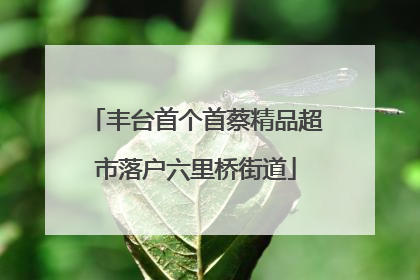 丰台首个首蔡精品超市落户六里桥街道