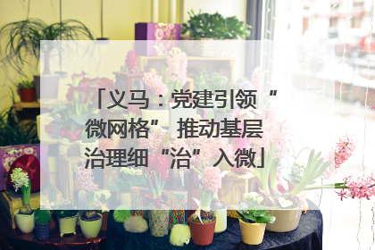 义马：党建引领“微网格” 推动基层治理细“治”入微