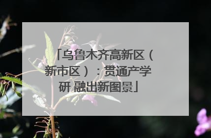 乌鲁木齐高新区（新市区）：贯通产学研 融出新图景