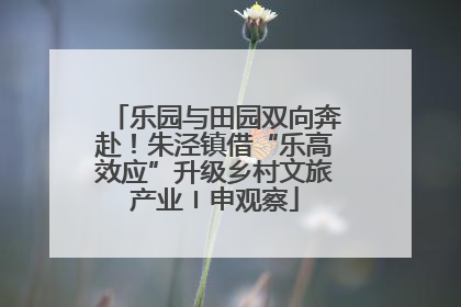 乐园与田园双向奔赴！朱泾镇借“乐高效应”升级乡村文旅产业〡申观察