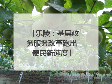 乐陵：基层政务服务改革跑出便民新速度