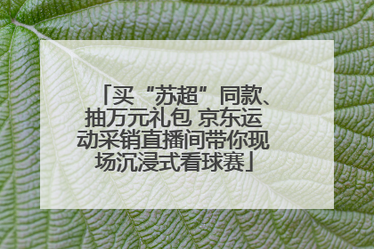 买“苏超”同款、抽万元礼包 京东运动采销直播间带你现场沉浸式看球赛
