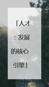 人才：发展的核心引擎
