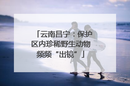 云南昌宁：保护区内珍稀野生动物频频“出镜”