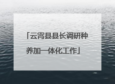 云霄县县长调研种养加一体化工作
