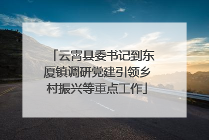 云霄县委书记到东厦镇调研党建引领乡村振兴等重点工作