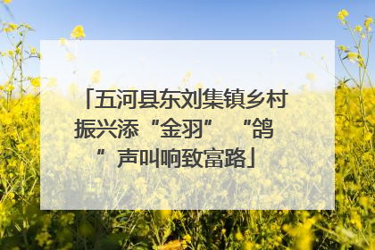 五河县东刘集镇乡村振兴添“金羽” “鸽”声叫响致富路