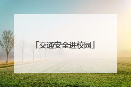 交通安全进校园