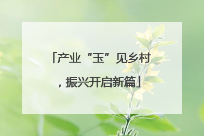 产业“玉”见乡村，振兴开启新篇