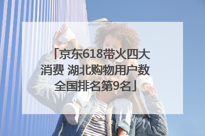 京东618带火四大消费 湖北购物用户数全国排名第9名