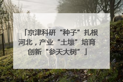 京津科研“种子”扎根河北，产业“土壤”培育创新“参天大树”