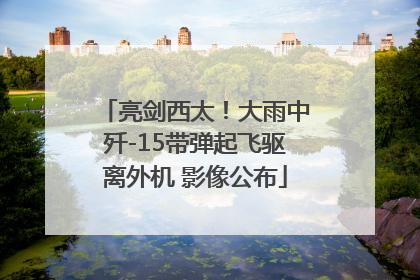 亮剑西太！大雨中歼-15带弹起飞驱离外机 影像公布
