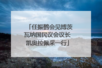 任振鹤会见博茨瓦纳国民议会议长凯奥拉佩采一行