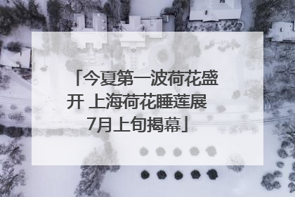 今夏第一波荷花盛开 上海荷花睡莲展7月上旬揭幕