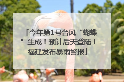 今年第1号台风“蝴蝶”生成！预计后天登陆！福建发布暴雨警报