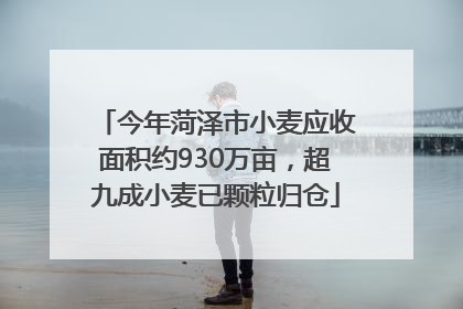 今年菏泽市小麦应收面积约930万亩，超九成小麦已颗粒归仓