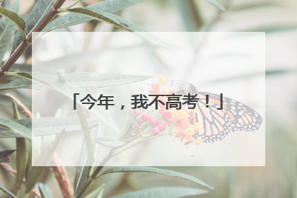 今年，我不高考！