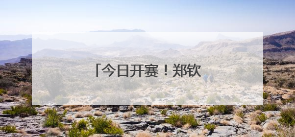今日开赛！郑钦文首轮就是硬仗